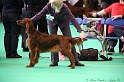 Crufts2011 174